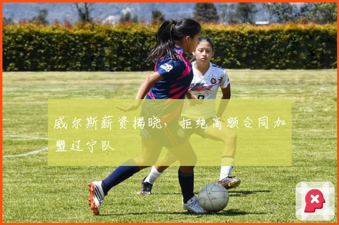 威尔斯薪资揭晓，拒绝高额合同加盟辽宁队