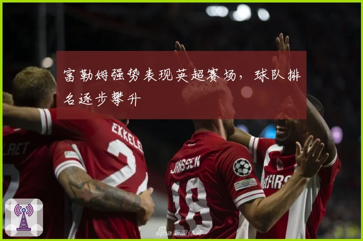 富勒姆强势表现英超赛场，球队排名逐步攀升